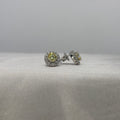 Moissanite Soleil Doré Halo Stud Earrings — Sterling Silver