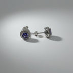 Sapphire Crown — Sapphire Double Halo Stud Earrings — 925 Sterling Silver